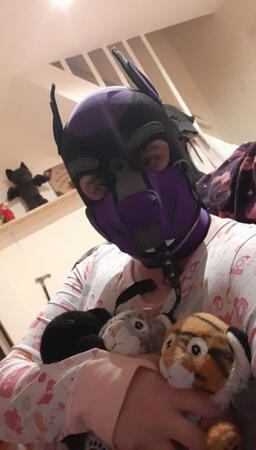 Littlespace // Pupspace